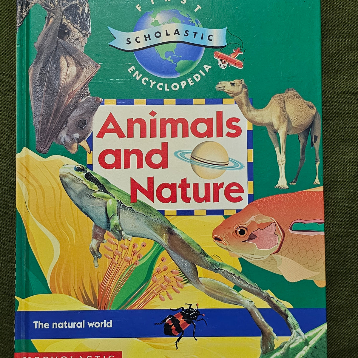 Animals and Nature